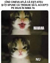 Avatar utilizator